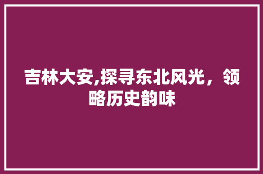 吉林大安,探寻东北风光，领略历史韵味