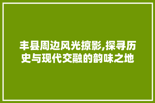 丰县周边风光掠影,探寻历史与现代交融的韵味之地