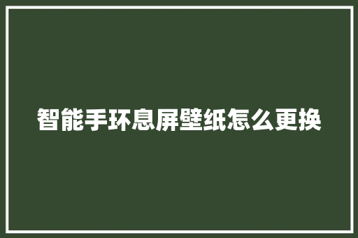 智能手环息屏壁纸怎么更换