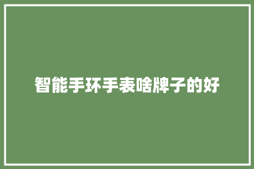 智能手环手表啥牌子的好  第1张