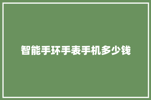 智能手环手表手机多少钱  第1张