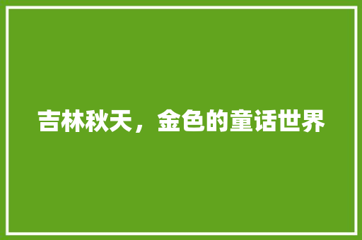 吉林秋天，金色的童话世界