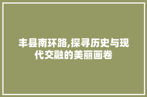 丰县南环路,探寻历史与现代交融的美丽画卷