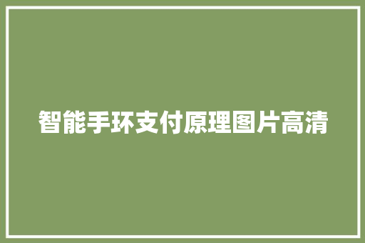 智能手环支付原理图片高清  第1张