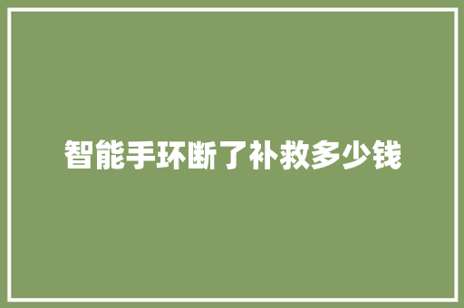 智能手环断了补救多少钱  第1张