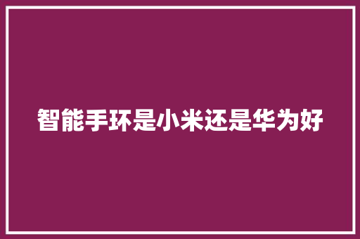 智能手环是小米还是华为好