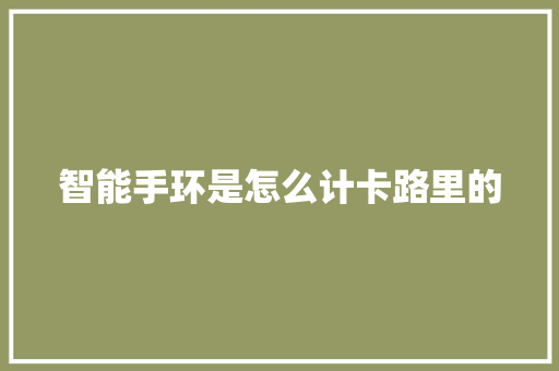 智能手环是怎么计卡路里的