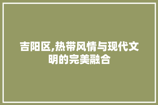 吉阳区,热带风情与现代文明的完美融合