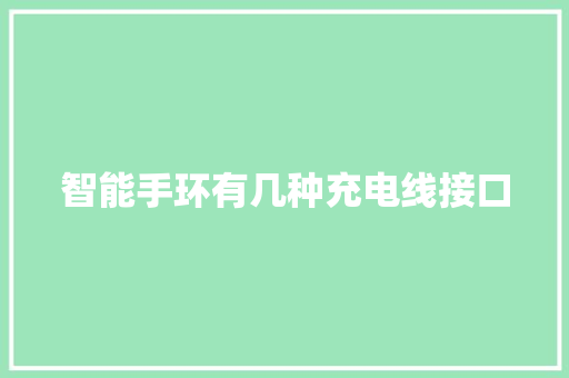 智能手环有几种充电线接口