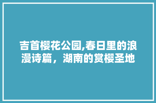 吉首樱花公园,春日里的浪漫诗篇，湖南的赏樱圣地