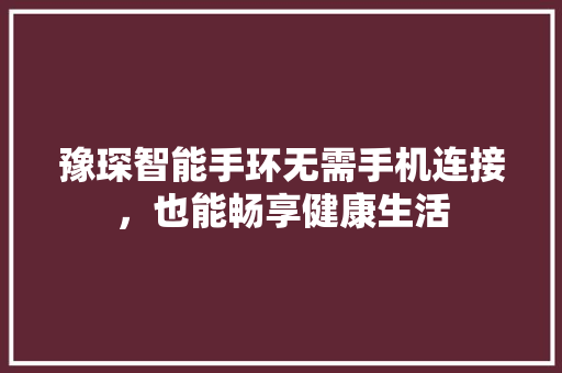 豫琛智能手环无需手机连接，也能畅享健康生活