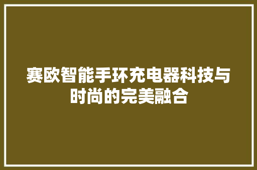 赛欧智能手环充电器科技与时尚的完美融合