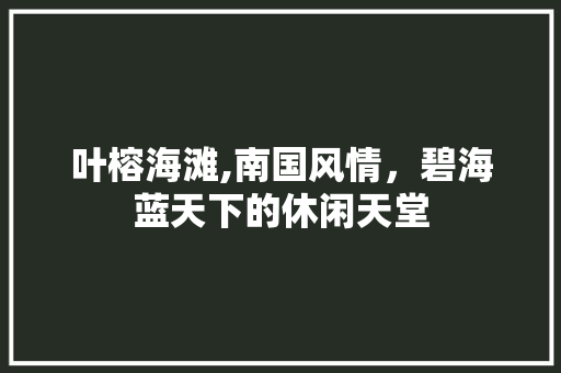 叶榕海滩,南国风情，碧海蓝天下的休闲天堂