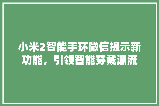 小米2智能手环微信提示新功能，引领智能穿戴潮流