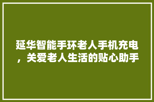 延华智能手环老人手机充电，关爱老人生活的贴心助手  第1张