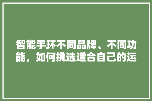 智能手环不同品牌、不同功能，如何挑选适合自己的运动伙伴  第1张