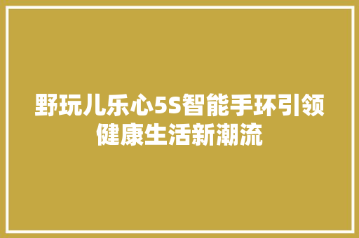 野玩儿乐心5S智能手环引领健康生活新潮流