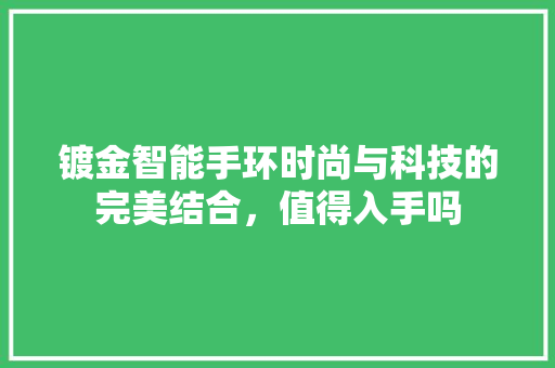 镀金智能手环时尚与科技的完美结合，值得入手吗