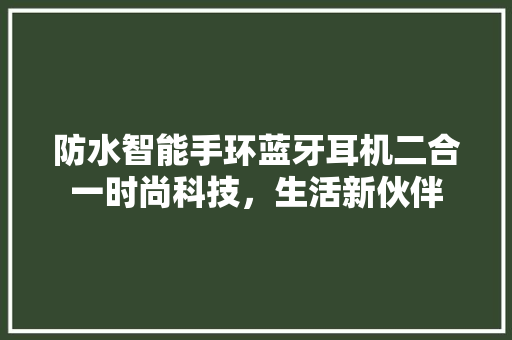 防水智能手环蓝牙耳机二合一时尚科技，生活新伙伴