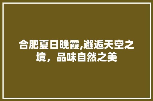 合肥夏日晚霞,邂逅天空之境，品味自然之美