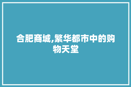 合肥商城,繁华都市中的购物天堂