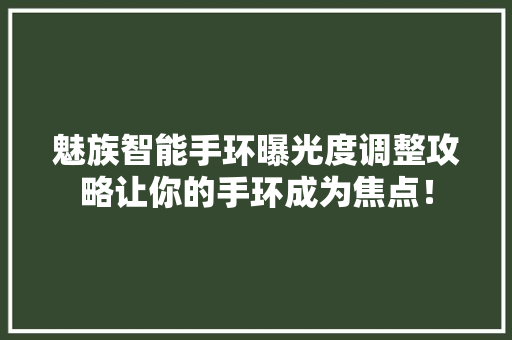 魅族智能手环曝光度调整攻略让你的手环成为焦点！