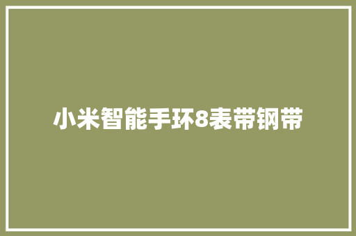 小米智能手环8表带钢带  第1张