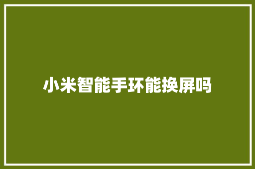 小米智能手环能换屏吗  第1张