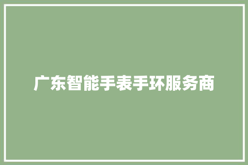 广东智能手表手环服务商  第1张