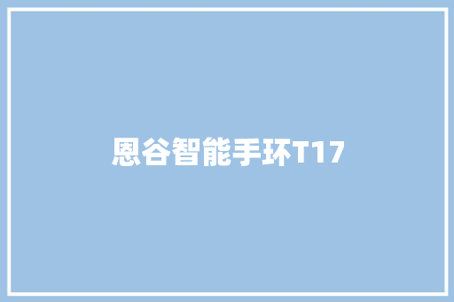 恩谷智能手环T17  第1张