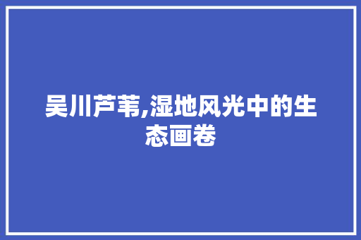 吴川芦苇,湿地风光中的生态画卷