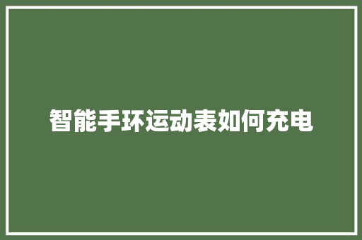 智能手环运动表如何充电