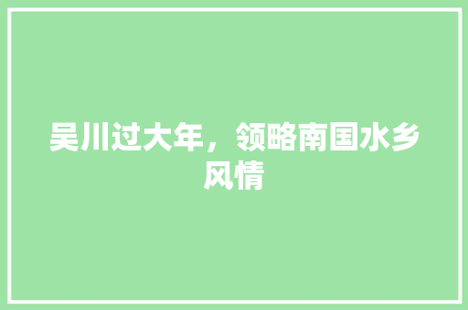 吴川过大年，领略南国水乡风情