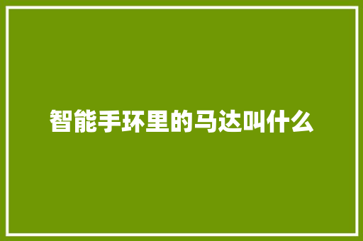 智能手环里的马达叫什么