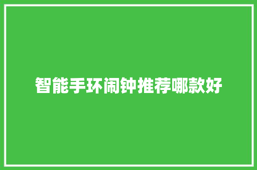 智能手环闹钟推荐哪款好