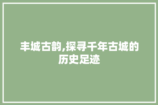 丰城古韵,探寻千年古城的历史足迹