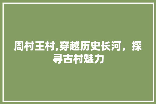 周村王村,穿越历史长河，探寻古村魅力