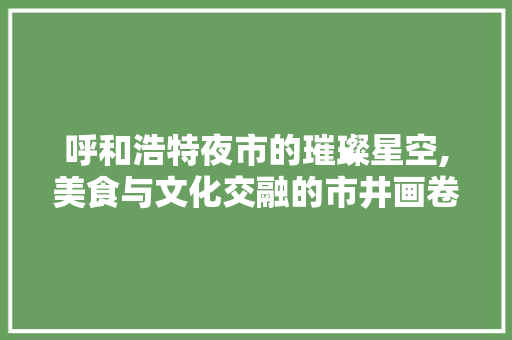 呼和浩特夜市的璀璨星空,美食与文化交融的市井画卷