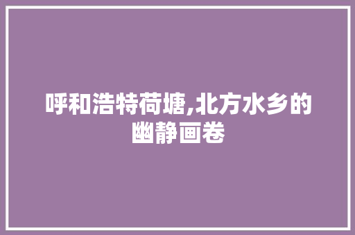 呼和浩特荷塘,北方水乡的幽静画卷