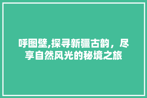 呼图壁,探寻新疆古韵，尽享自然风光的秘境之旅