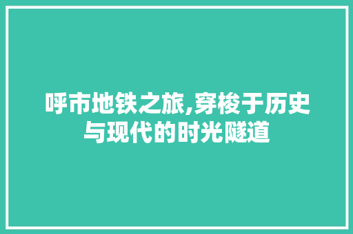 呼市地铁之旅,穿梭于历史与现代的时光隧道