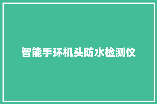 智能手环机头防水检测仪