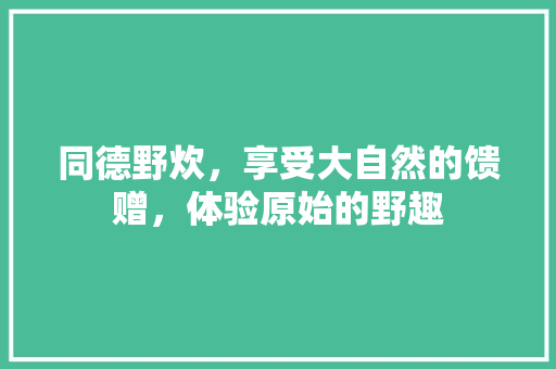 同德野炊，享受大自然的馈赠，体验原始的野趣