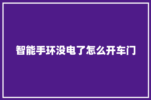 智能手环没电了怎么开车门