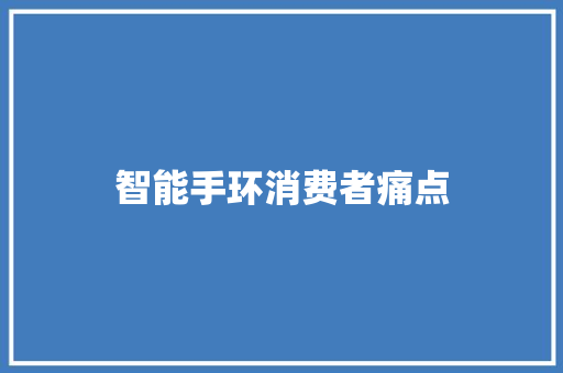 智能手环消费者痛点