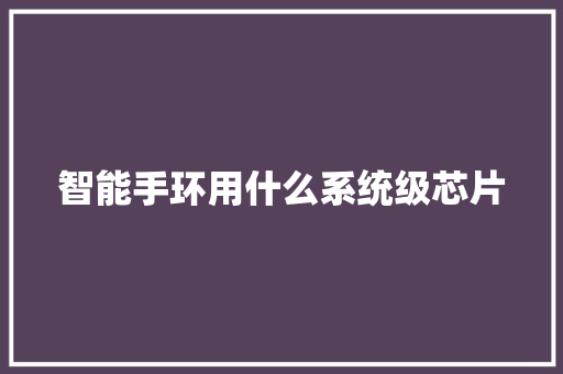 智能手环用什么系统级芯片