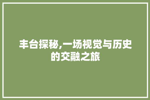 丰台探秘,一场视觉与历史的交融之旅