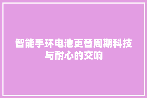 智能手环电池更替周期科技与耐心的交响