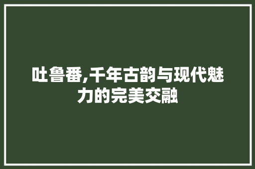 吐鲁番,千年古韵与现代魅力的完美交融