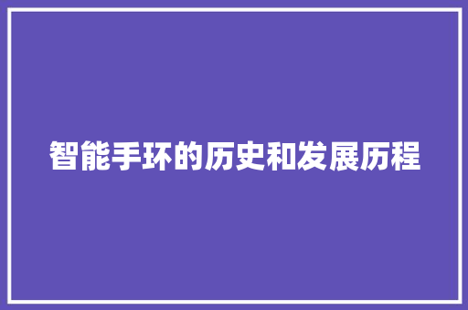 智能手环的历史和发展历程  第1张